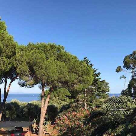 Isola D'Elba Casa Vacanze - Villa Portello - La Casina Bis - Quarzo-Pirite ريو مارينا المظهر الخارجي الصورة